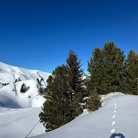 - - Les Coches - 7 Personnes - Pieds Des Pistes *