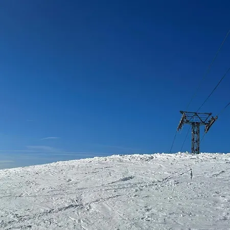 - - Les Coches - 7 Personnes - Pieds Des Pistes La Plagne-Tarentaise