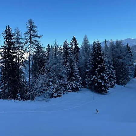 Apartment - - Les Coches - 7 Personnes - Pieds Des Pistes *